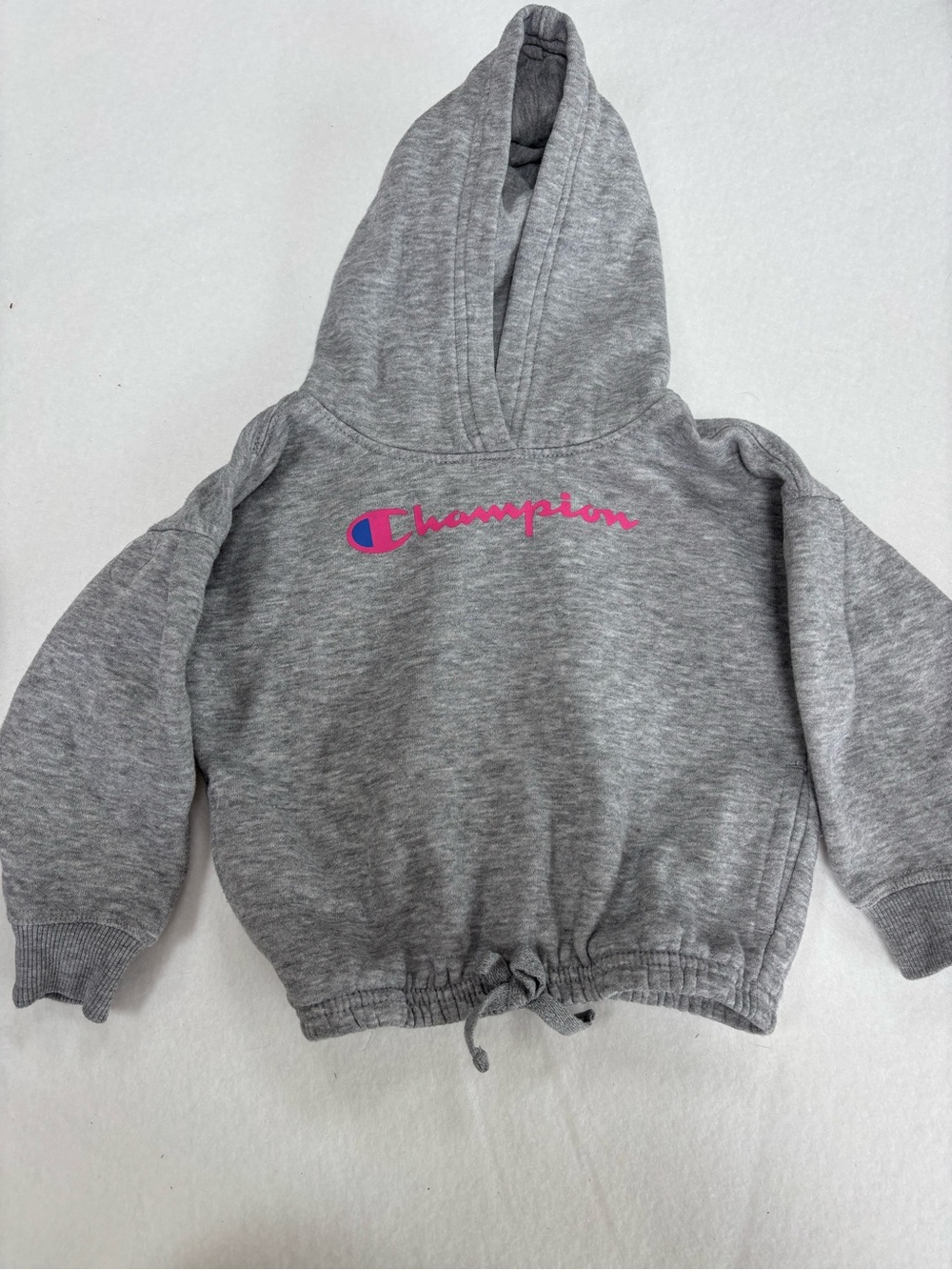 Champion Baby Toddler Gray‎ Hoodie with Pink & Blue Logo 24 months